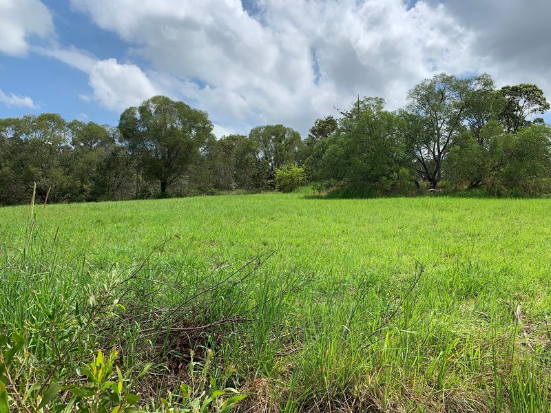 Photo - 118 Browns Creek Road, Kurwongbah QLD 4503 - Image 9