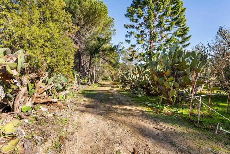 Photo - 118 Caponi Road, Barragup WA 6209 - Image 7