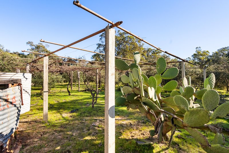 Photo - 118 Caponi Road, Barragup WA 6209 - Image 9