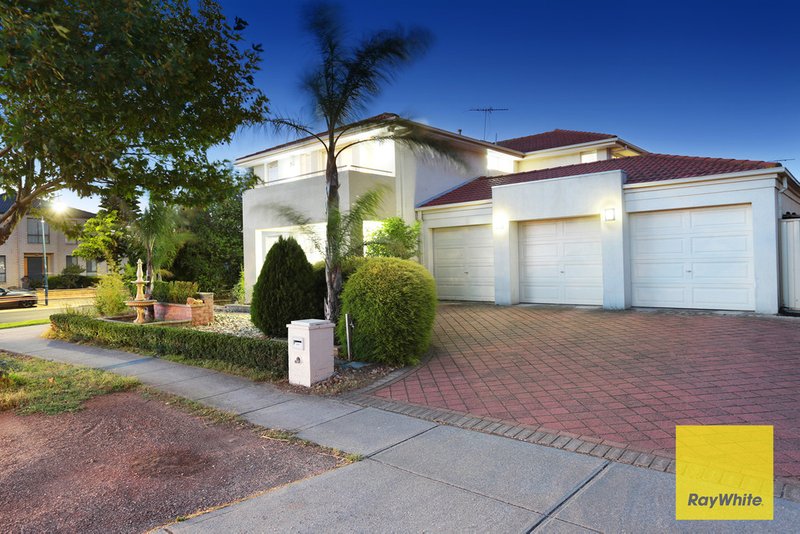 Photo - 118 Jamieson Way, Point Cook VIC 3030 - Image 5