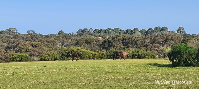 Photo - 118 Mercer Road, Lange WA 6330 - Image 33