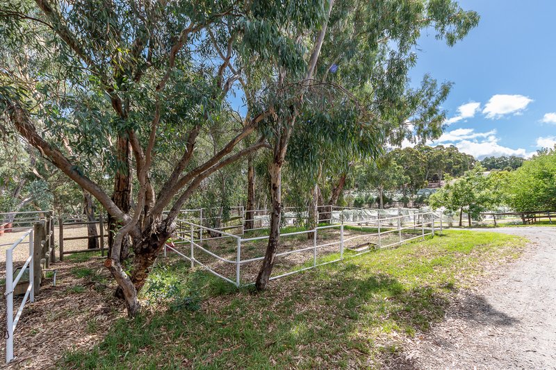 Photo - 118 Shillabeer Road, Oakbank SA 5243 - Image 28