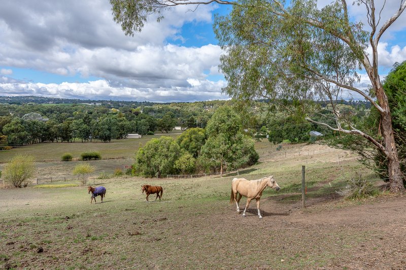 Photo - 118 Shillabeer Road, Oakbank SA 5243 - Image 29