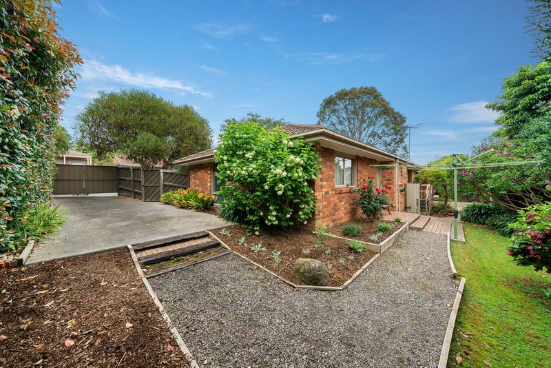 Photo - 118 Wonga Road, Ringwood VIC 3134 - Image 12