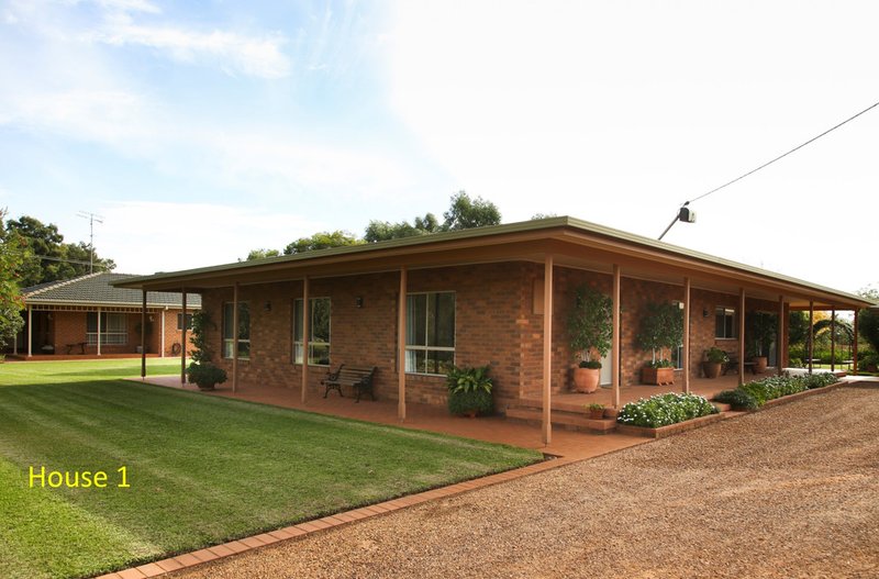 Photo - 1186 Walla Avenue, Griffith NSW 2680 - Image 6