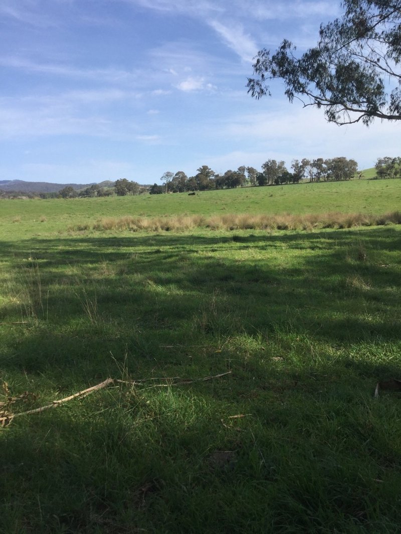 1187 Murrindindi Road, Murrindindi VIC 3717 Real Estate Industry Partners