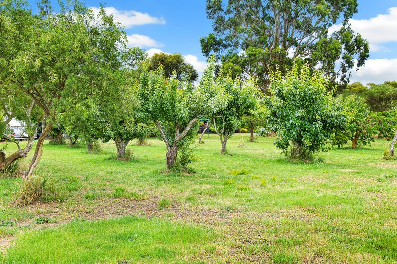 Photo - 1188 Beaufort-Waubra Road, Waubra VIC 3352 - Image 16