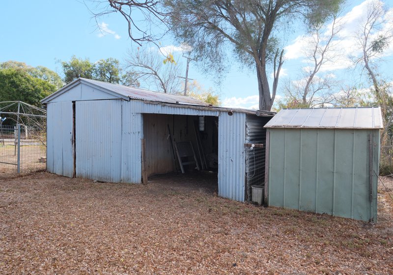 Photo - 1189 Nullamanna Road, Inverell NSW 2360 - Image 18