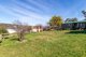 Photo - 118E Jamieson Street, Walcha NSW 2354 - Image 17