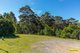 Photo - 119 Blairs Road, Long Beach NSW 2536 - Image 3