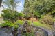Photo - 119 Bland Street, Ashfield NSW 2131 - Image 8