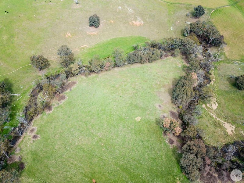 Photo - 119 Cemetery Road, Tumbarumba NSW 2653 - Image 18