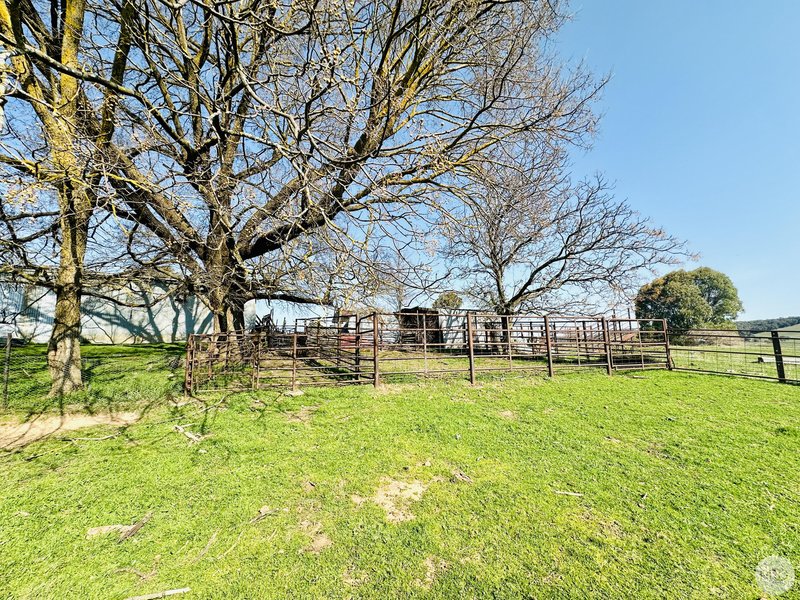 Photo - 119 Cemetery Road, Tumbarumba NSW 2653 - Image 24