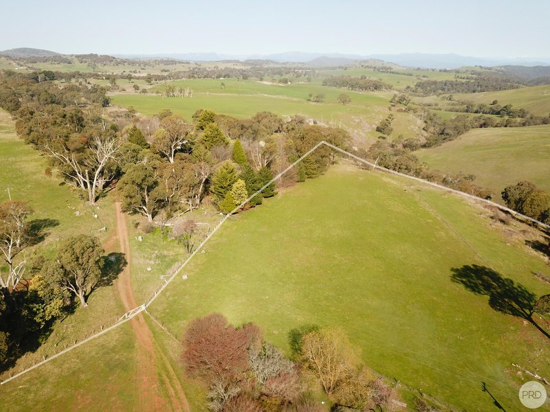 Photo - 119 Cemetery Road, Tumbarumba NSW 2653 - Image 27