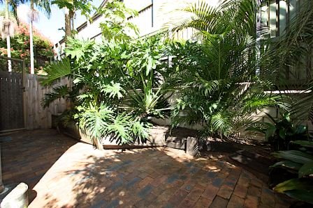 Photo - 1/19 Clifton Street, Booval QLD 4304 - Image 16