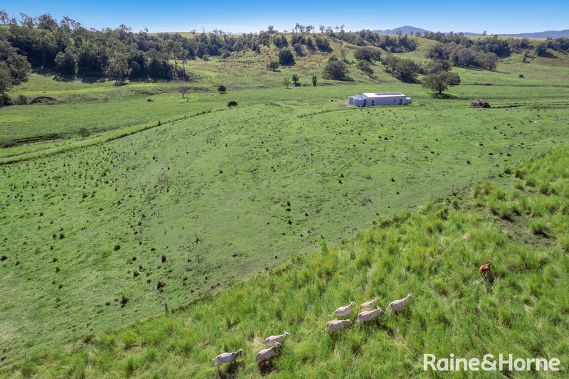 Photo - 119 Ellems Road, Edenville Via , Kyogle NSW 2474 - Image 12