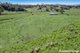 Photo - 119 Ellems Road, Edenville Via , Kyogle NSW 2474 - Image 12