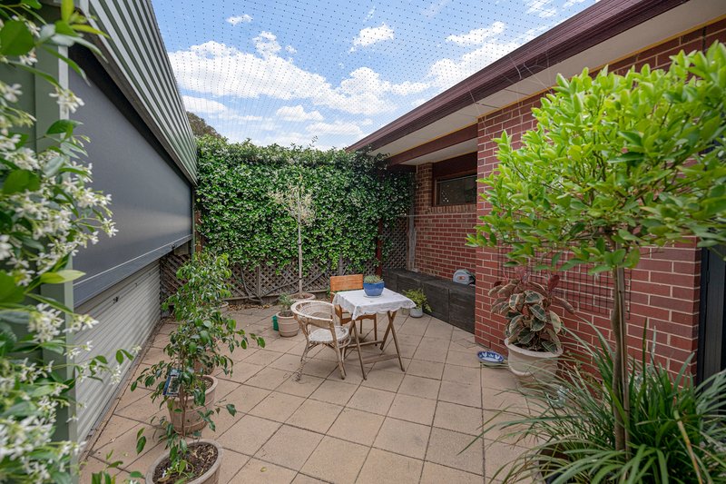 Photo - 119 Margaret Street North, North Adelaide SA 5006 - Image 22