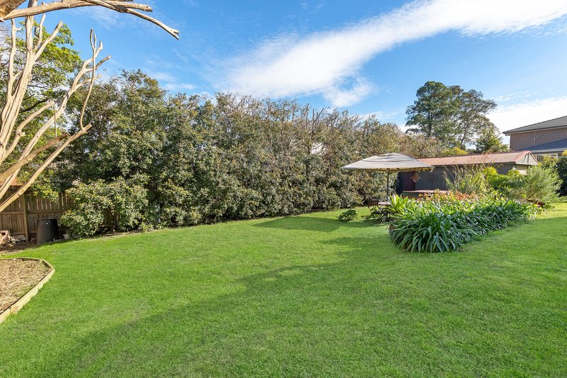 Photo - 119 Pennant Hills Road, Normanhurst NSW 2076 - Image 5