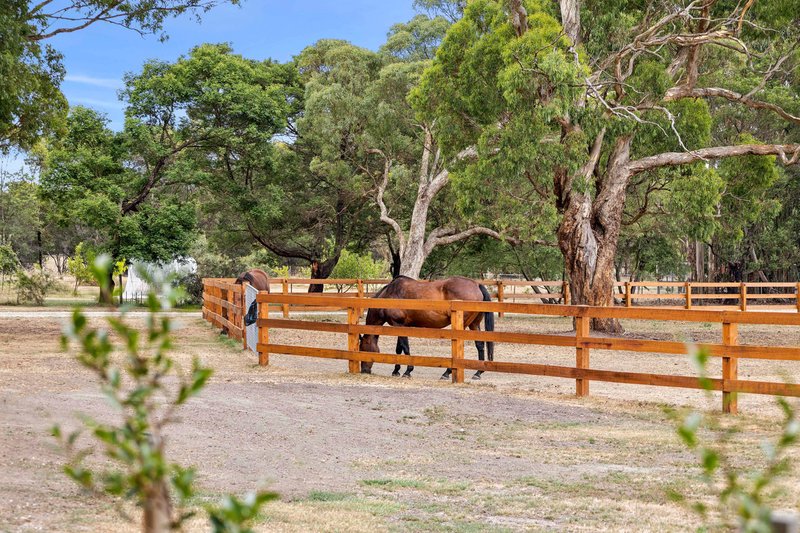 Photo - 119 Rosa Court, Kyneton VIC 3444 - Image 17