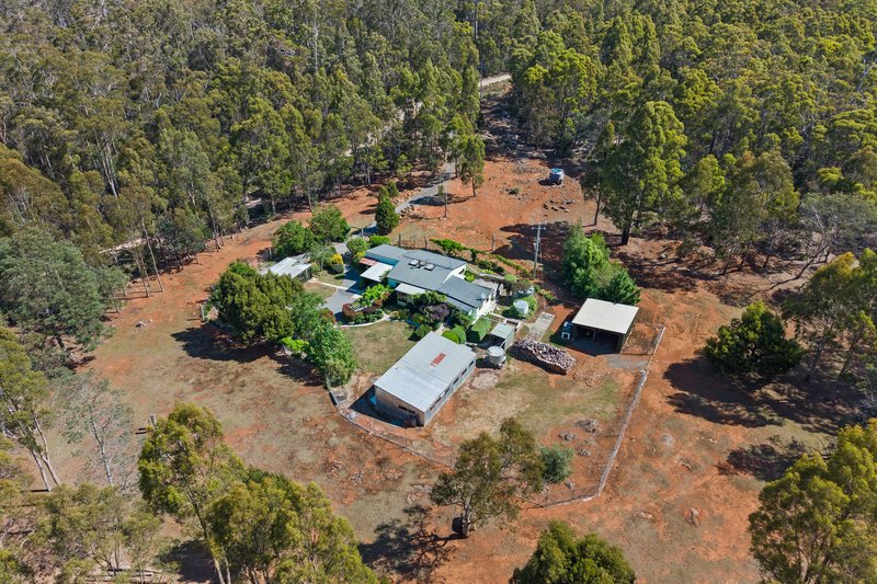 Photo - 119 Silver Wattle Drive, Reedy Marsh TAS 7304 - Image 3