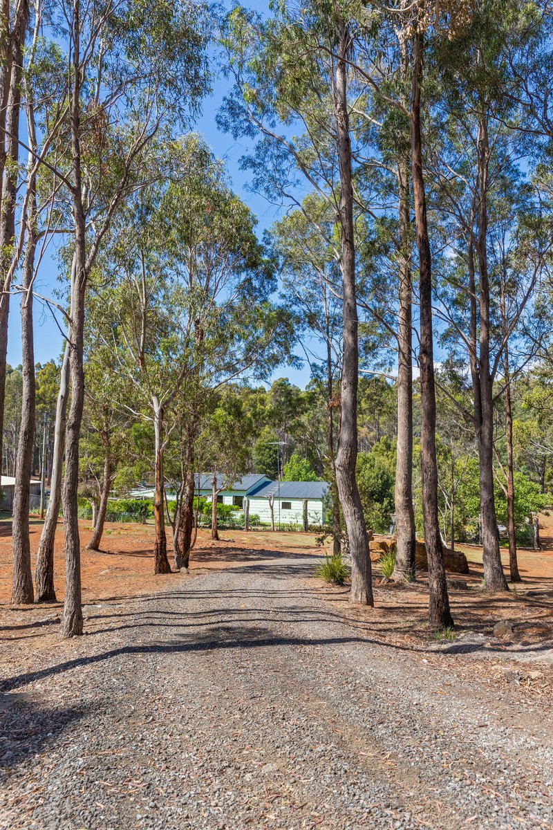 Photo - 119 Silver Wattle Drive, Reedy Marsh TAS 7304 - Image 20