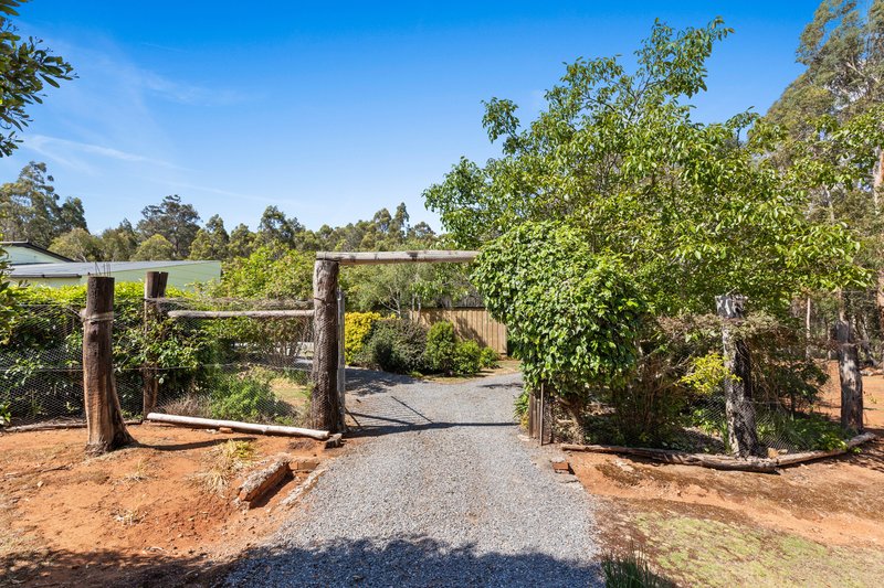 Photo - 119 Silver Wattle Drive, Reedy Marsh TAS 7304 - Image 26