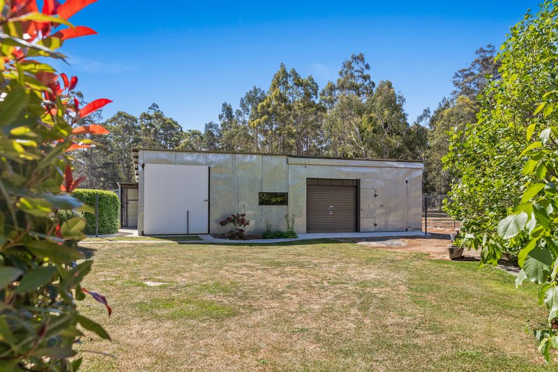 Photo - 119 Silver Wattle Drive, Reedy Marsh TAS 7304 - Image 34