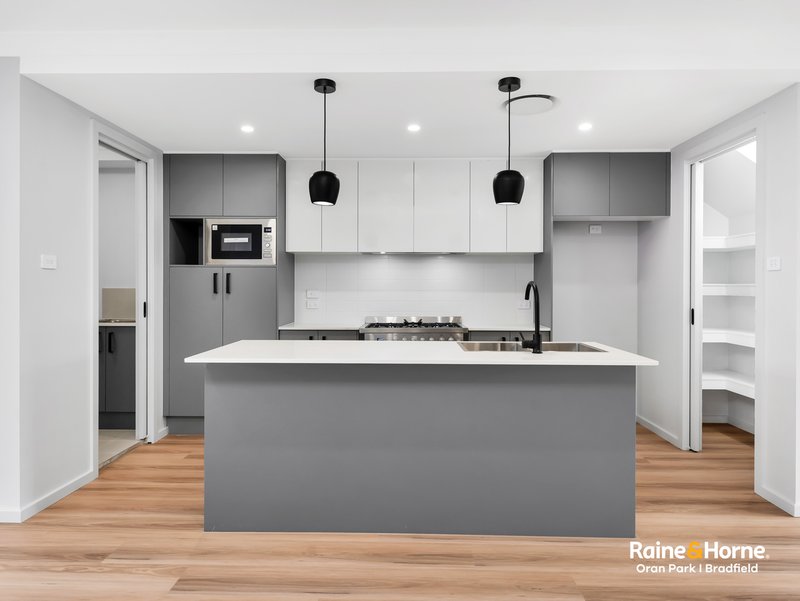 Photo - 119 South Circuit, Oran Park NSW 2570 - Image 1