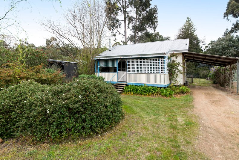 Photo - 119 Warren Road, Nannup WA 6275 - Image 9