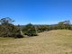 Photo - 1190 Campbells Pockets Road, Mount Mee QLD 4521 - Image 26