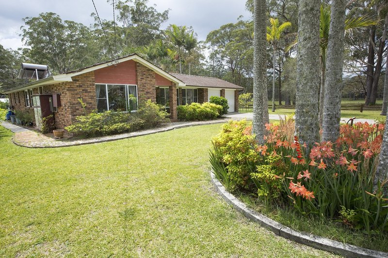 Photo - 1191 Wattley Hill Road, Bungwahl NSW 2423 - Image 11