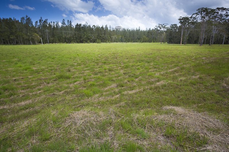 Photo - 1191 Wattley Hill Road, Bungwahl NSW 2423 - Image 19