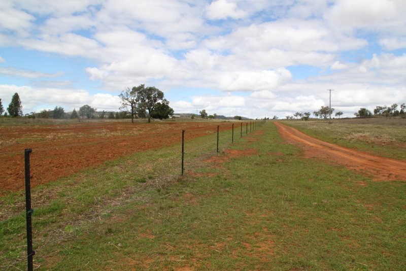 Photo - 1194 Rushes Creek Road, Manilla NSW 2346 - Image 9