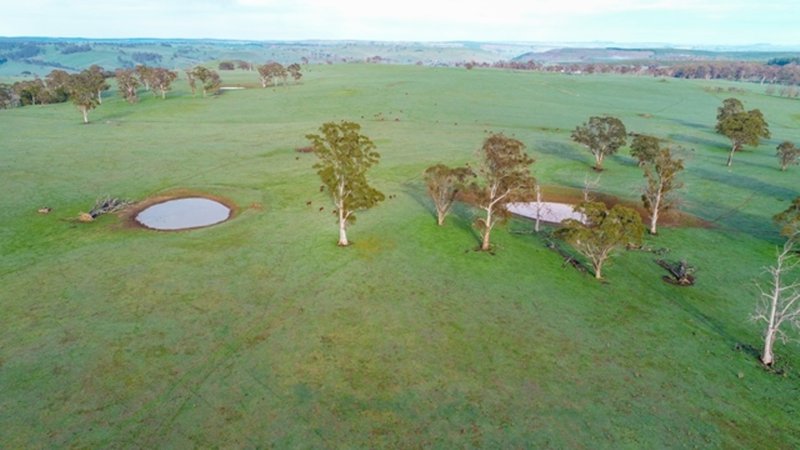 Photo - 1198 Dog Rocks Road, Oberon NSW 2787 - Image 13