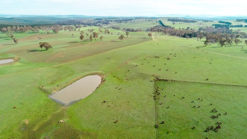 Photo - 1198 Dog Rocks Road, Oberon NSW 2787 - Image 18