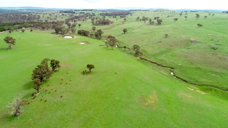 Photo - 1198 Dog Rocks Road, Oberon NSW 2787 - Image 24