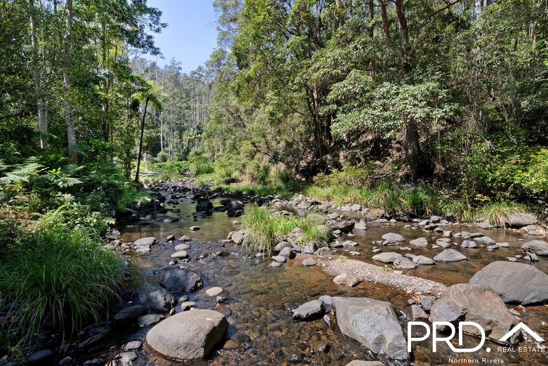 1198 Horseshoe Creek Road, Upper Horseshoe Creek NSW 2474