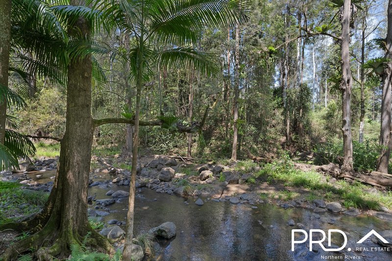 Photo - 1198 Horseshoe Creek Road, Upper Horseshoe Creek NSW 2474 - Image 4