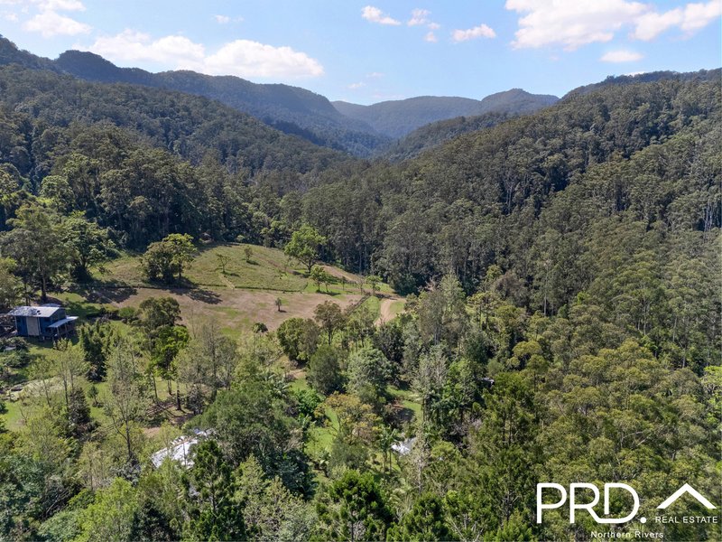 Photo - 1198 Horseshoe Creek Road, Upper Horseshoe Creek NSW 2474 - Image 6