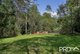 Photo - 1198 Horseshoe Creek Road, Upper Horseshoe Creek NSW 2474 - Image 19