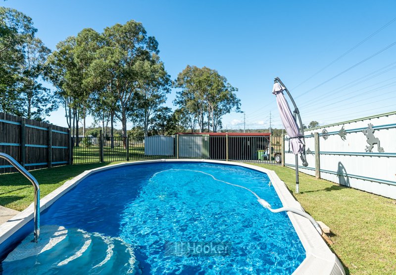 Photo - 12-26 Wirrabara Drive, Greenbank QLD 4124 - Image 15