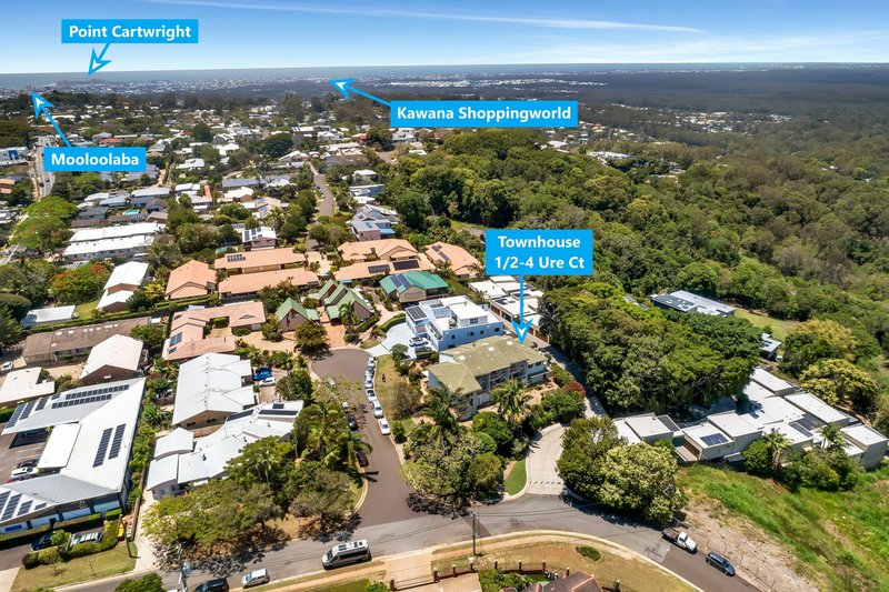 Photo - 1/2-4 Ure Court, Buderim QLD 4556 - Image 13