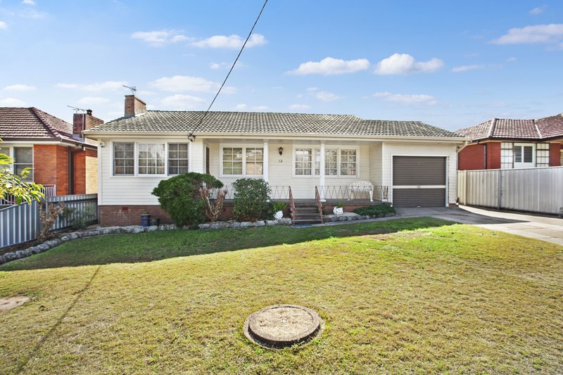 Photo - 12 Alexandra Avenue, Rutherford NSW 2320 - Image 1