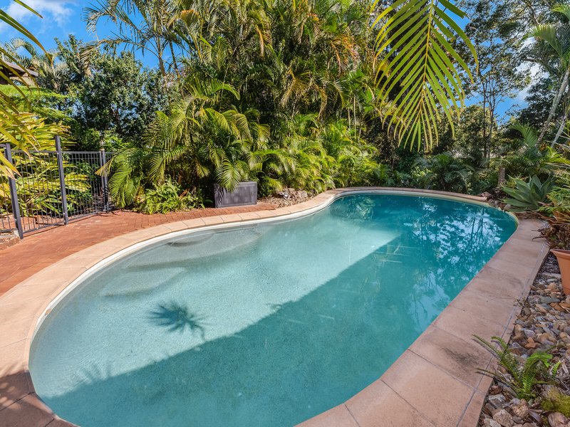 Photo - 12 Alfriston Drive, Buderim QLD 4556 - Image 15