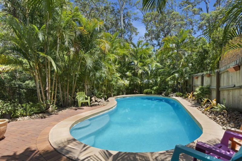 Photo - 12 Alfriston Drive, Buderim QLD 4556 - Image 4