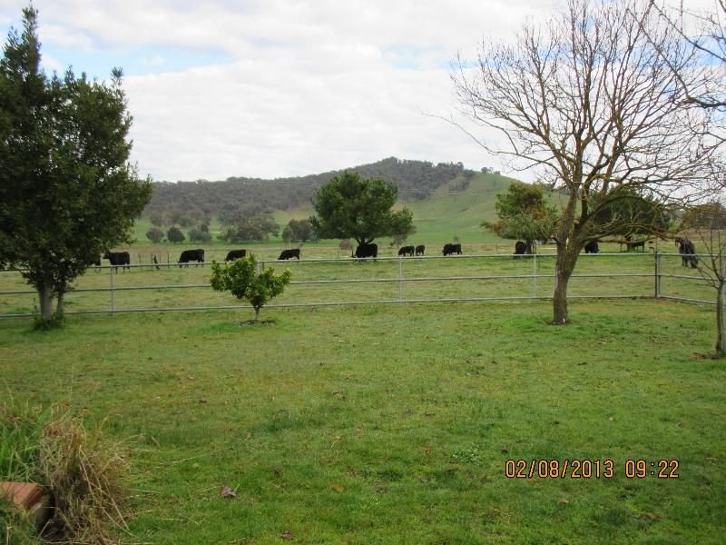 Photo - 12 Alpine Way, Khancoban NSW 2642 - Image 3