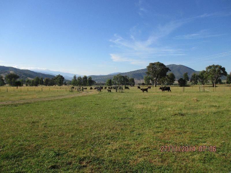 Photo - 12 Alpine Way, Khancoban NSW 2642 - Image 6