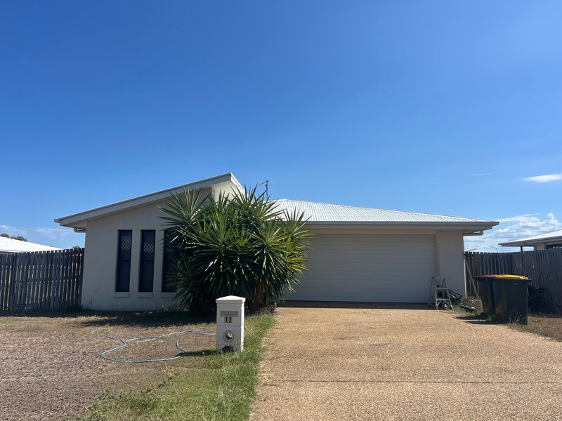 Photo - 12 Amy Street, Gracemere QLD 4702 - Image 1