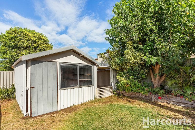 Photo - 12 Andante Street, Falcon WA 6210 - Image 17